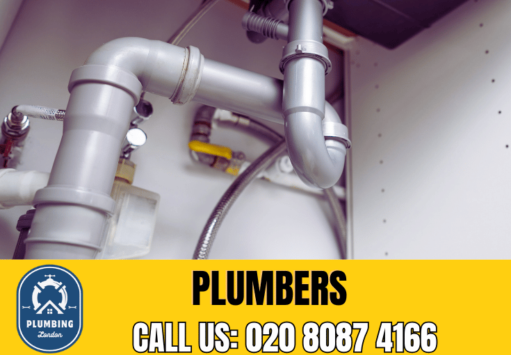  plumber East Putney