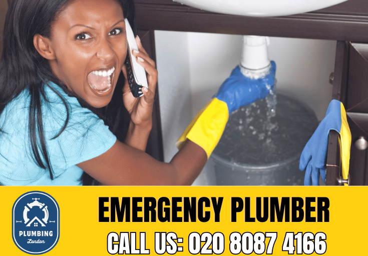 emergency plumber Putney 