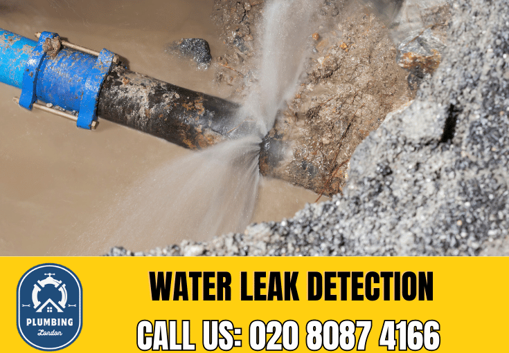 leak detection Putney 