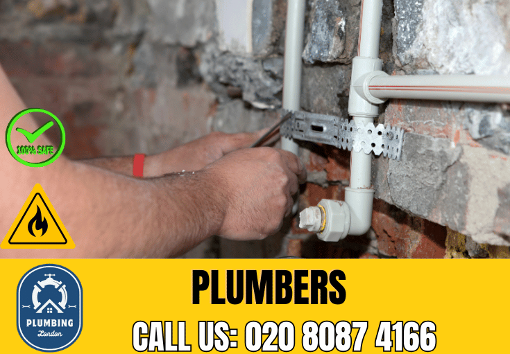  plumber Putney Heath