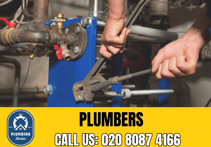  plumber West Putney