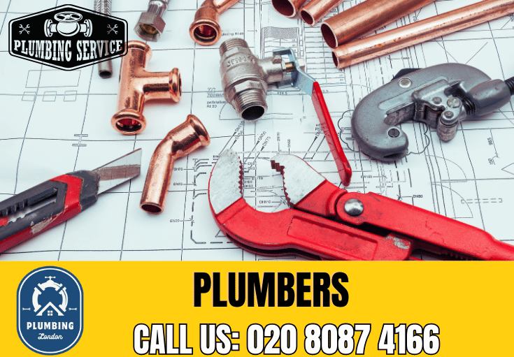  plumber Roehampton