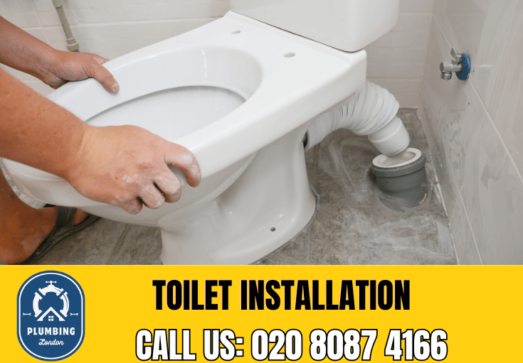 toilet fitters Putney 